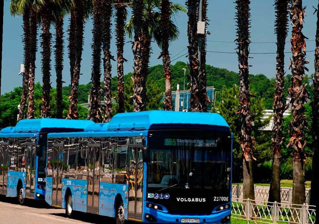 Изменение маршрутов автобусов в Сочи во время матча Россия — Чили