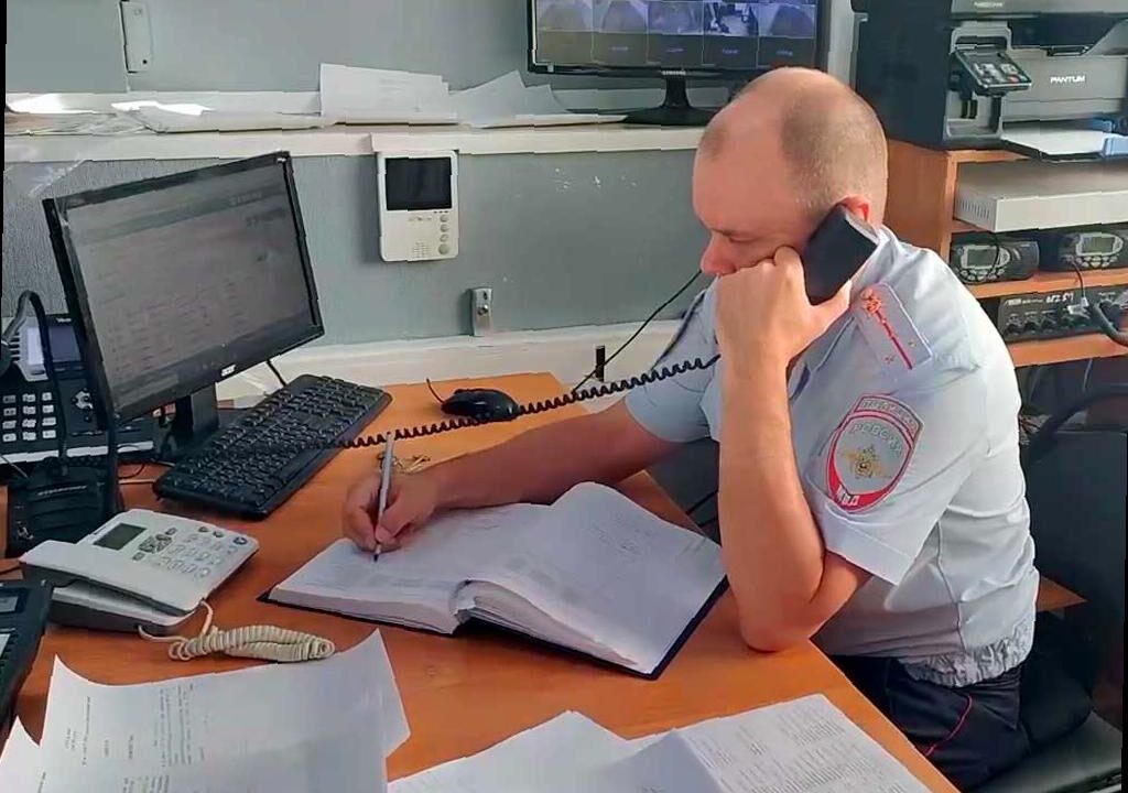 В Сочи начата проверка после жалоб на стрельбу по животным