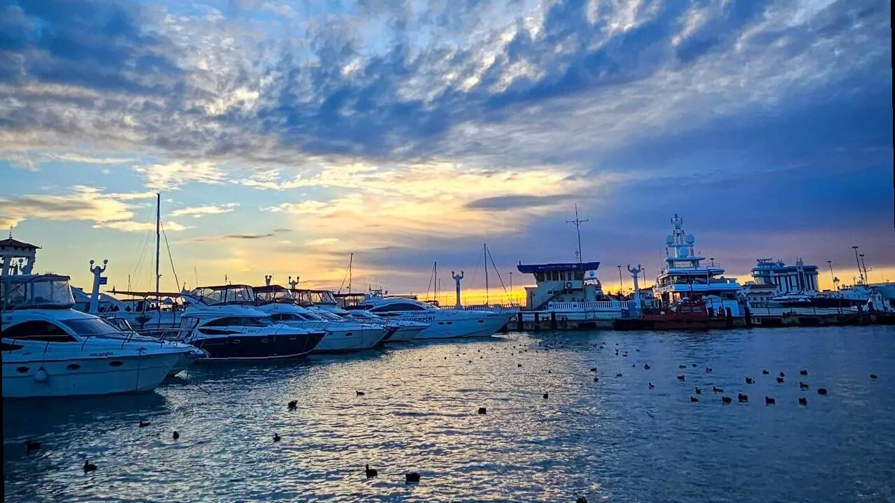 Отдых в Сочи в марте: природа, спа и уют без суеты